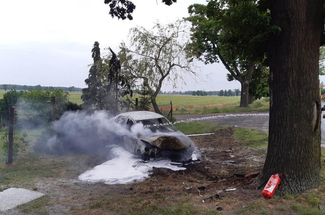 Samochód uderzył w drzewo i stanął w PŁOMIENIACH! Groźny wypadek w Błocku 