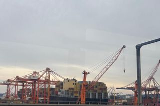 Park Leśny na Oksywiu, Gdynia