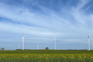 Farmy wiatrowe - Tauron