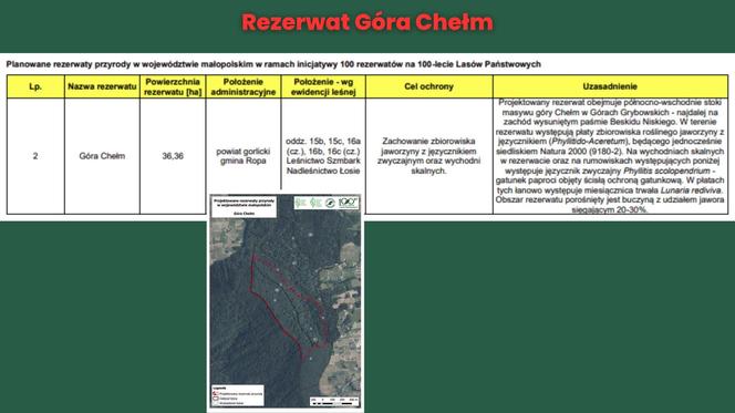 Rezerwat Góra Chełm