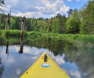 Kajakiem przez Warmię i Mazury. Te trasy są najbardziej malownicze