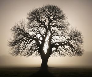 Tajemnice Ostrzeszowa. Co kryje historia miasta?