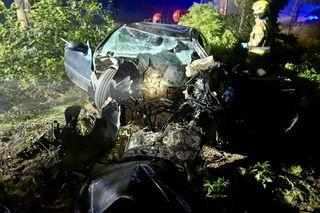 Śmiertelny wypadek pod Malborkiem. Dwóch nastolatków uderzyło w drzewo [ZDJĘCIA].