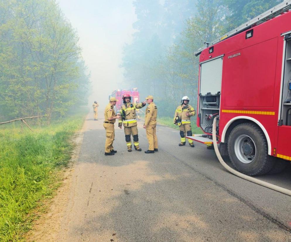 Pożar lasu w podkieleckiej gminie! W akcji samoloty gaśnicze. Aktualizacja