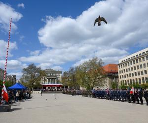 3 maja w Poznaniu. Tak świętują poznaniacy