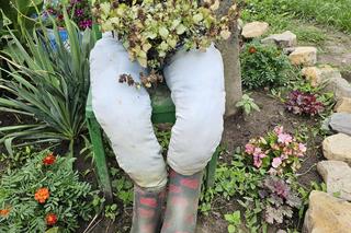 Niezwykłe ozdoby w Urzejowicach