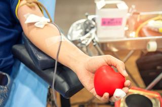 Każdorazowe oddanie krwi to ratunek dla 3 osób 
