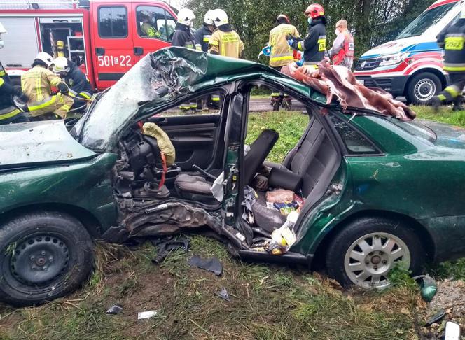 Poddębice. Finał podróży na drzewie, z audi została miazga! Cud, że wyszedł z TEGO żywo!