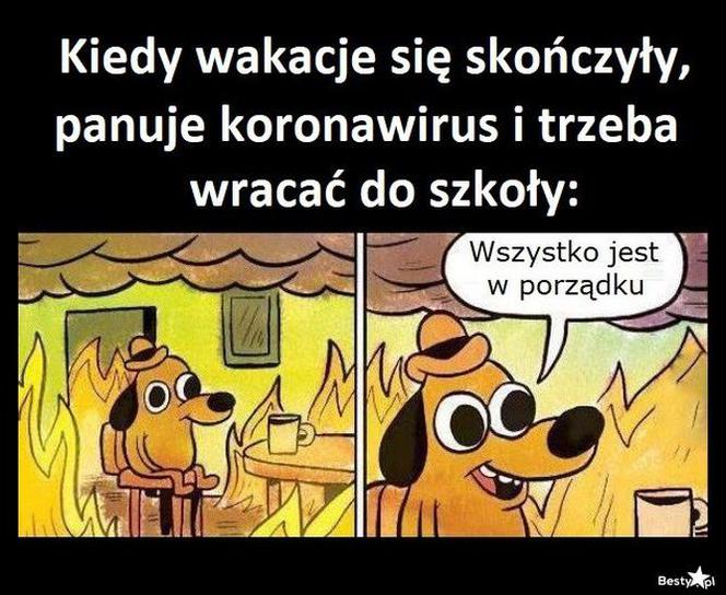 Memy o szkole 2020. Nauka u dobie koronawirusa. Żarty z nowej sytuacji 