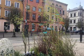 Wielkanocne ozdoby w Grudziądzu