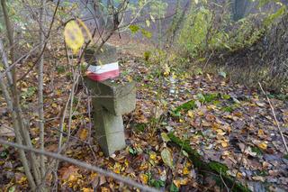 Byliśmy na Górze Czarownic w Fordonie. Na stosach spłonęły tu przynajmniej 72 kobiety [ZDJĘCIA]