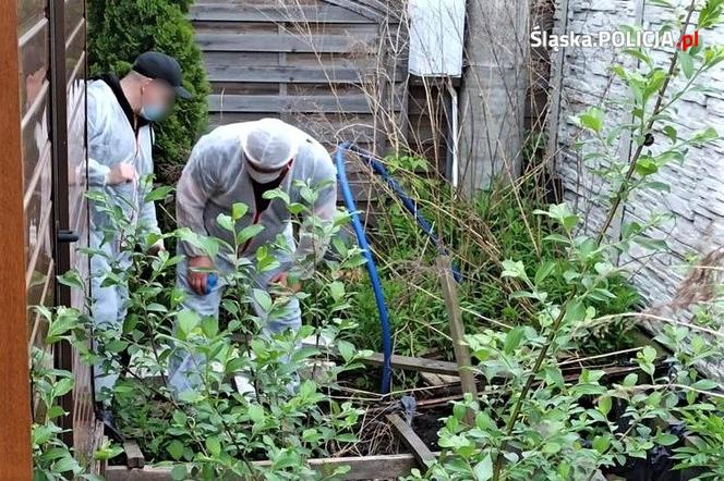 Tomasz M. porwał chłopca już w 2008 roku. Mama Dawidka przerywa milczenie! "W piwnicy robił mu zdjęcia nago"