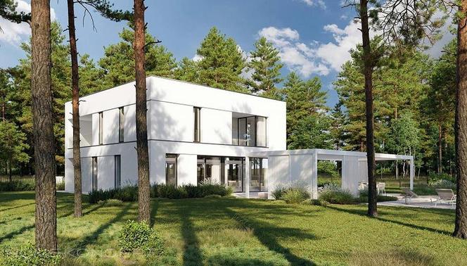 Projekt domu HomeKONCEPT-111