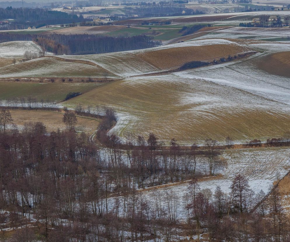 W Kujawsko-Pomorskiem na wielkiej połaci rozrzucone są wzniesienia jak gigantyczne bochny chleba. To drumliny