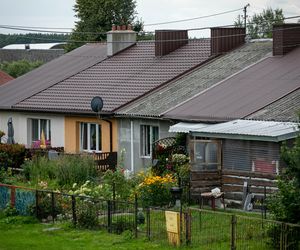 Ma całkowicie zniknąć z Polski. Teraz można usunąć go całkiem za darmo 
