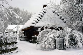 Podlaskie Muzeum Kultury Ludowej, Muzeum Wsi 