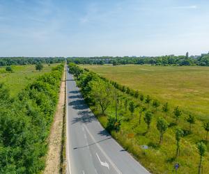 Kolejne utrudnienia od lipca. Wyznaczono nową trasę z Konstantynowa do Łodzi