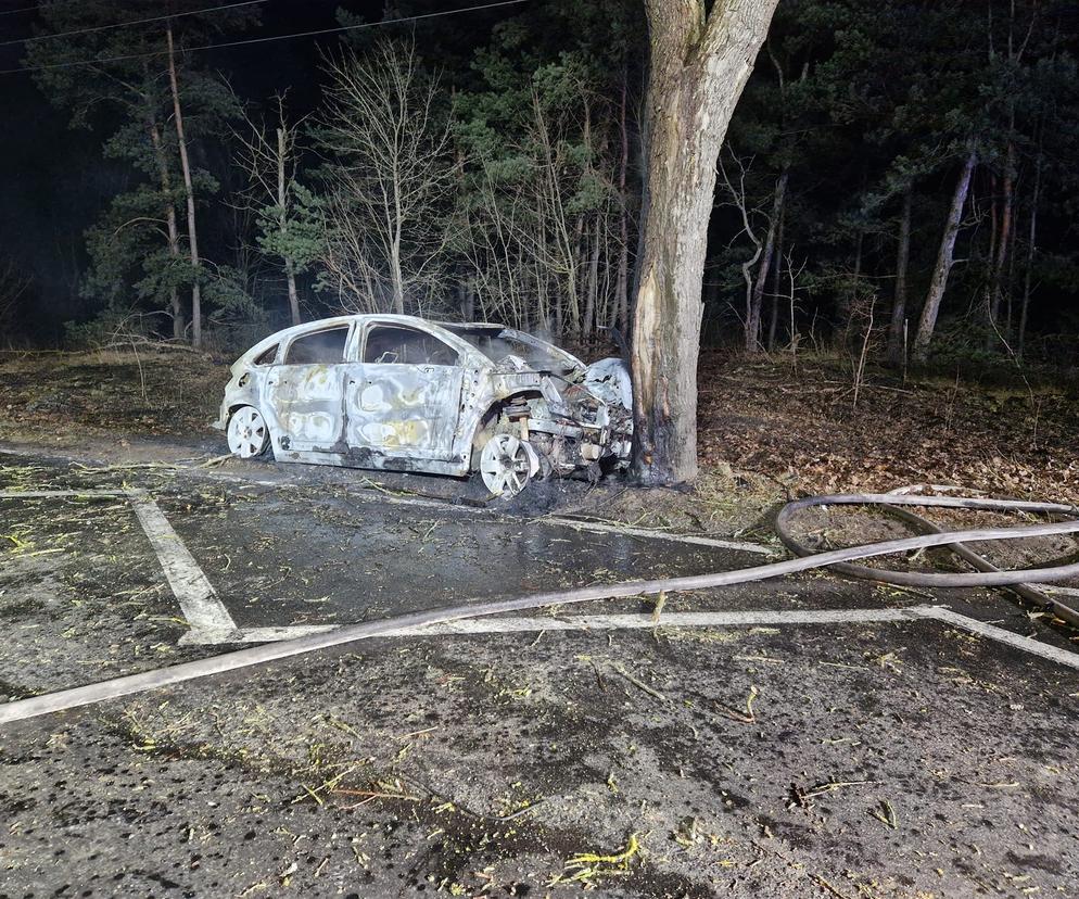 Dramatyczny wypadek w Herbutowie! Auto uderzyło w drzewo i spłonęło. Jedna osoba nie żyje