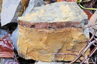 Setny rezerwat przyrody na Podkarpaciu 