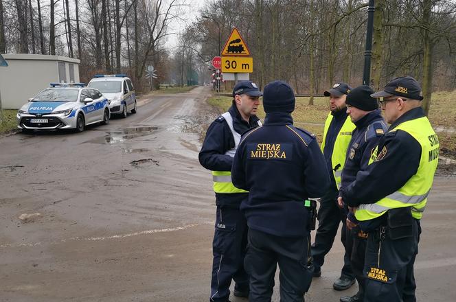 Ucieczka pantery śnieżnej z zoo w Chorzowie. Zdjęcia z akcji poszukiwawczej