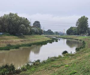 Wysoka woda na Wisłoku po ulewach