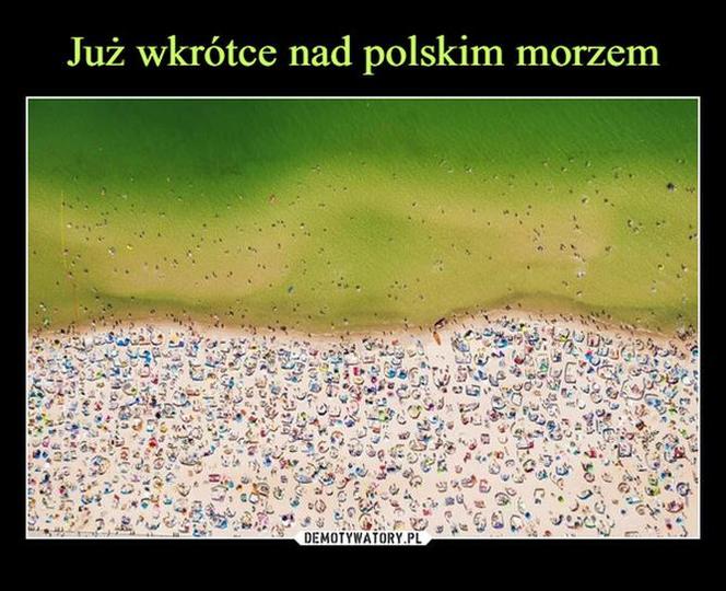 Lato 2022 - najlepsze memy na pierwszy dzień lata