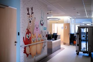 Rossmann: Pomagamy jak umiemy – pierwszy etap remontu w ICZMP za nami!