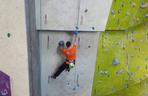 Zawody wspinaczkowe w Sosnowcu