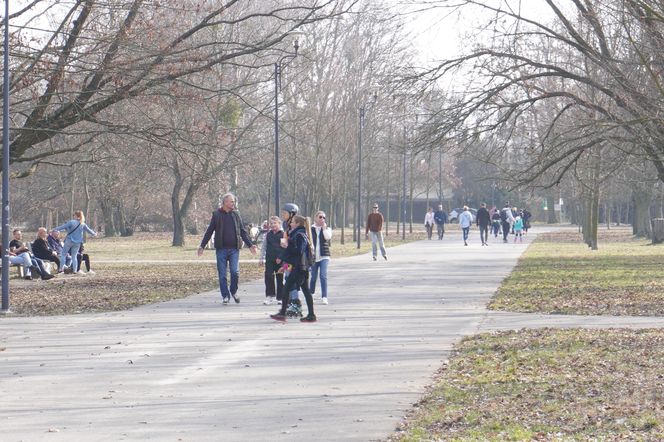 Przedwiośnie w Parku Jana Pawła II 