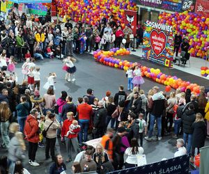 33. Finał WOŚP w Sosnowcu. Arena Sosnowiec pełna wolontariuszy i darczyńców