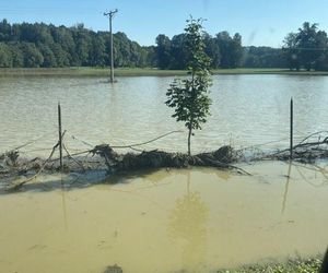 Ruch Gospodarstw Rodzinnych organizuje kolejną zbiórkę dla powodzian 