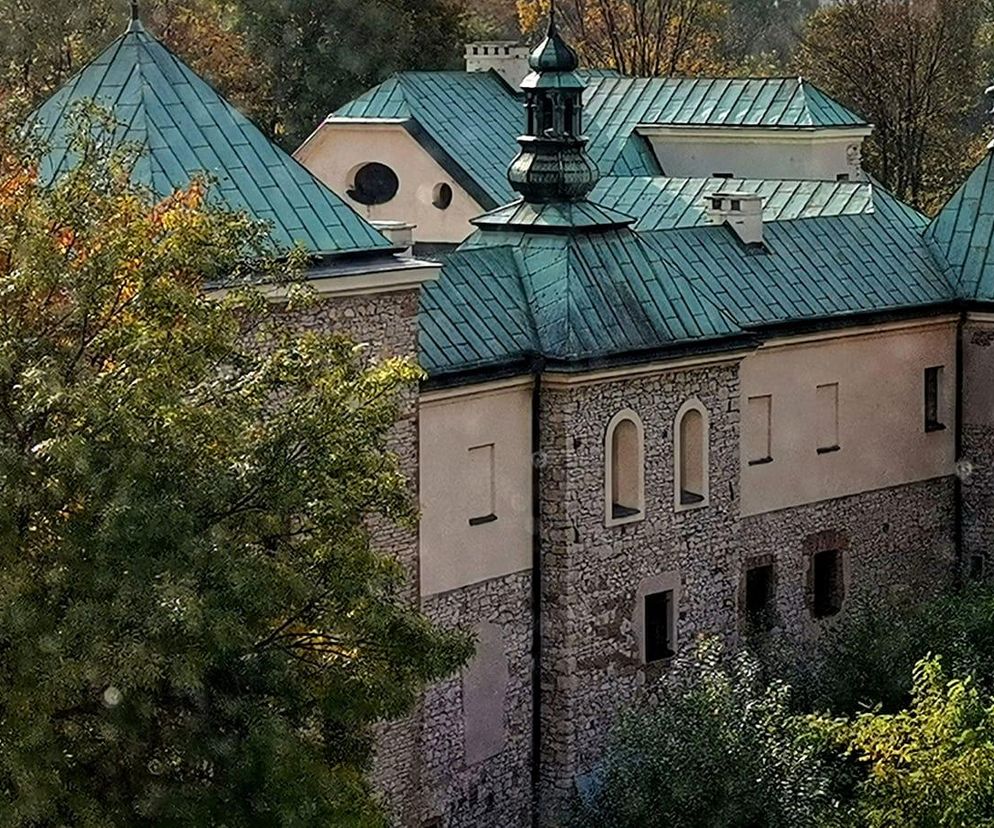 To najdziwniejszy zamek w woj. śląskim według AI. Jest w Sosnowcu