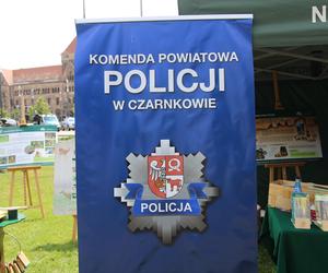 Piknik z okazji Święta Policji w Poznaniu 