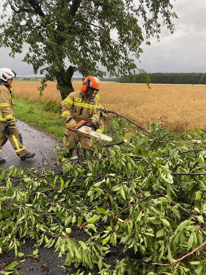 Burze i nawałnice nad Podkarpaciem. Strażacy interweniowali prawie 500 razy [ZDJĘCIA]