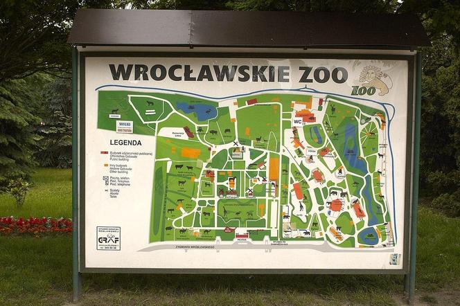 ZOO Wrocław - bilety, cennik 2023, godziny otwarcia. Jak dojechać? Mapa, parking