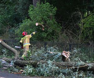 Burze nad Polską. Kilkaset interwencji strażaków