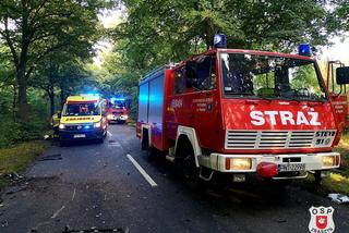 Śmierć na granicy dwóch województw! Tragiczny wypadek koło Zbąszynia