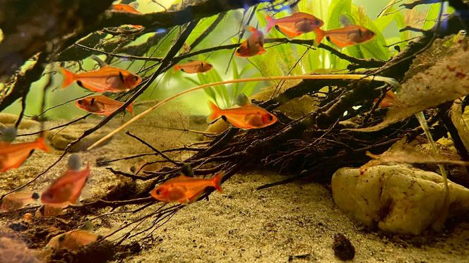 Rozmawiamy z Tomaszem Wiśniewskim, założycielem Aqua Dreams Bydgoszcz
