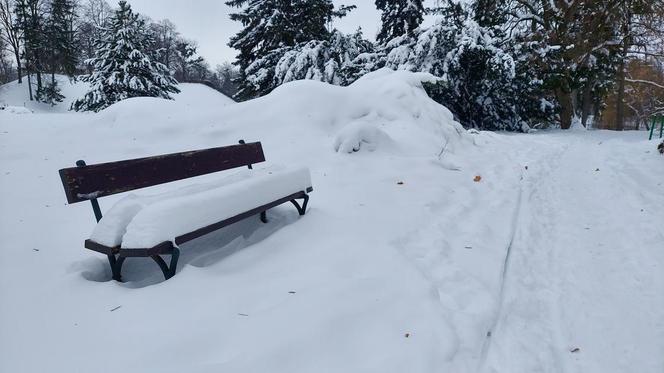 Zamojski Park pod śniegiem