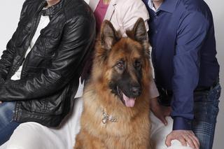 Komisarz Alex z nowym partnerem