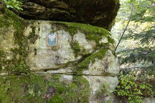 Rezerwat Dalejów w Świętokrzyskiem