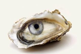 Przyjrzyj się dokładnie. To, co zobaczysz wyjawi Twoją przyszłość. Jedna ważna rada od losu, abyś w końcu dostał to, o czym marzysz. Test obrazkowy na osobowość z obrazka