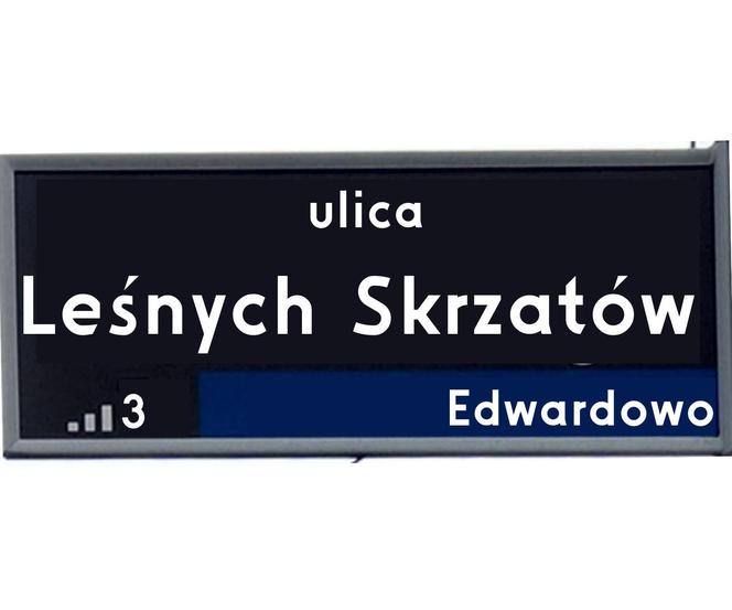 Leśnych Skrzatów