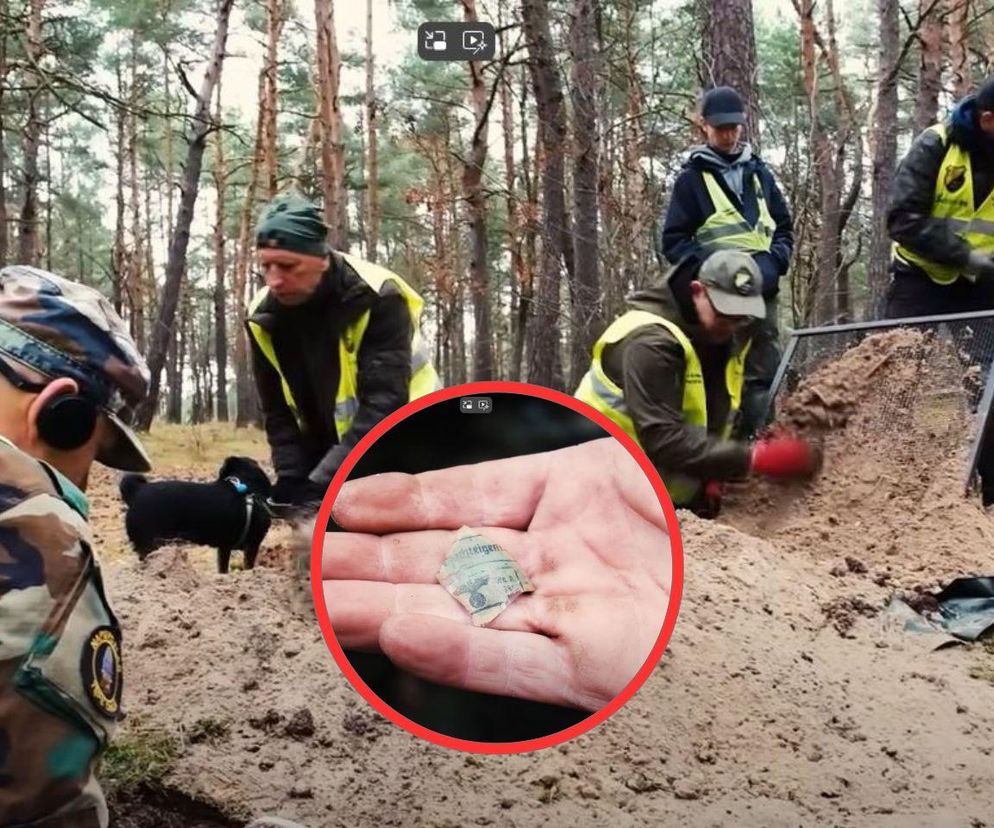 Wiemy, kto zadecyduje o przyszłości odnalezionej Enigmy. Skarb z Gdańska czeka drugie życie