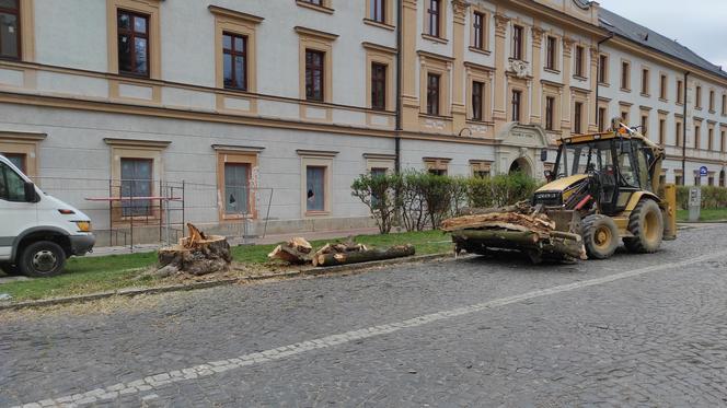 Rozpoczął się remont ulicy Piłsudskiego w Tarnowie