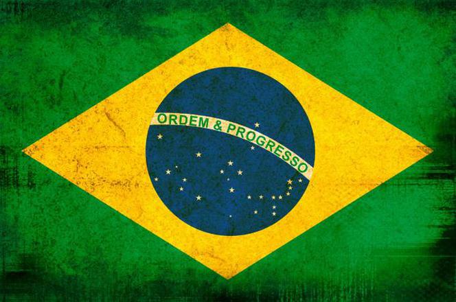 BRAZYLIA 2014: Skład reprezentacji Brazylii na Mistrzostwa Świata w Brazylii 2014. Zobacz! [SPORT]