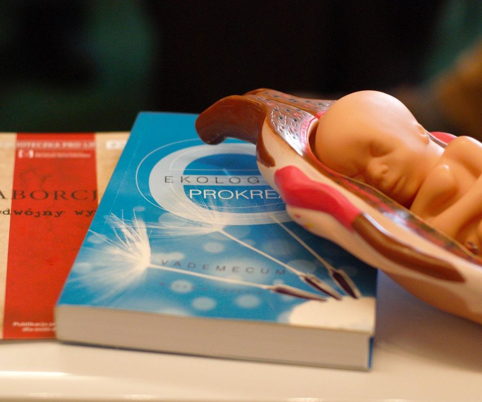 Letnia Akademia Pro- Life