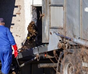 Potworny los zwierząt w Idzbarku. To była umieralnia. Gospodarz usłyszał zarzuty!