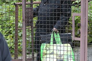 Jarosław Kaczyński sam niesie ogromną torbą z dyskontu! Co w niej ma?! Jego limuzyna pognała na Nowogrodzką 