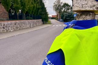 Porządku na drodze pilnuje stróż prawa z drewna